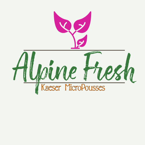 abonnement-decouverte